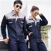 Bảo Hộ MS 11