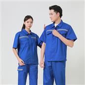Bảo Hộ MS 15