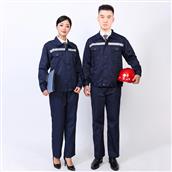 Bảo hộ MS4