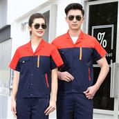 Bảo hộ MS6