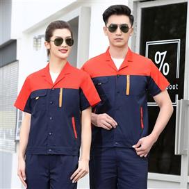 Bảo hộ MS6